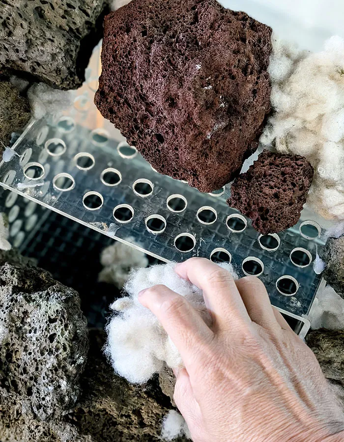 Aquascaping steps - PRIMAL BUST - IAPLC 2025 Silver Prize - Katsuki Tanaka / Japan